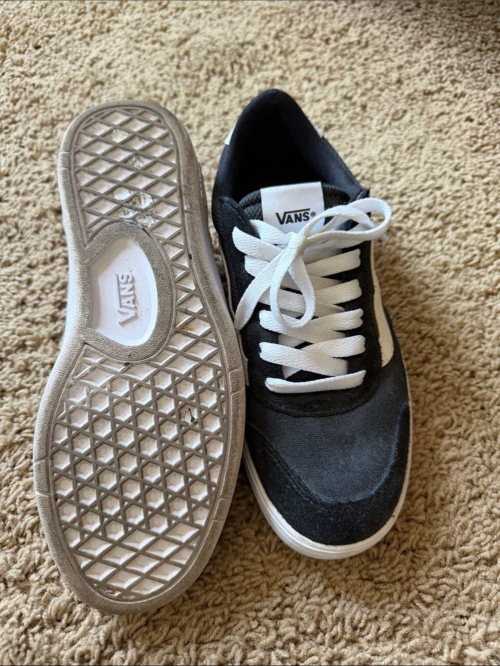 Vans Black & White Low-Top Skate Shoes
